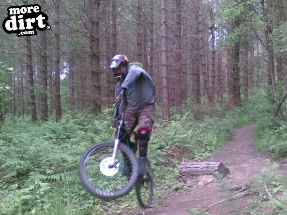 Outside Line Trail - Chopwell