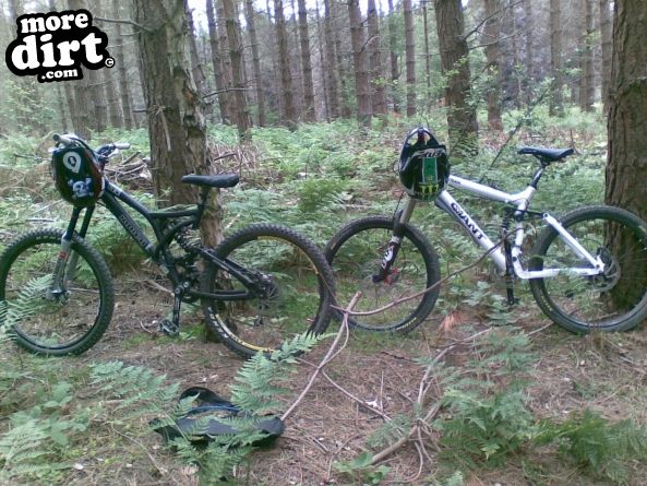 Outside Line Trail - Chopwell