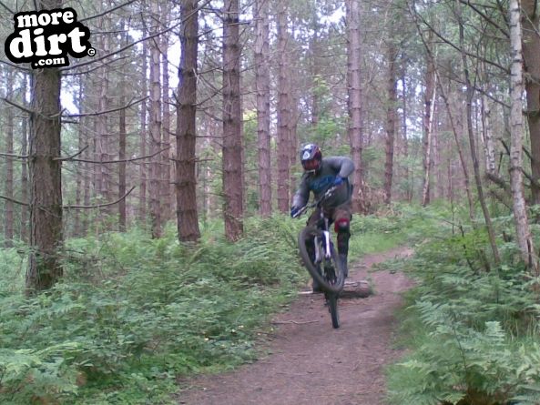 Outside Line Trail - Chopwell