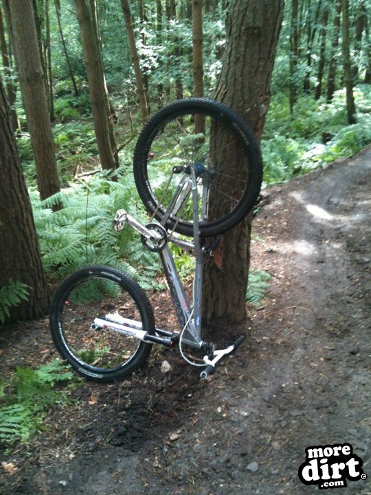 Delamere Forest Mountain Bike Trails