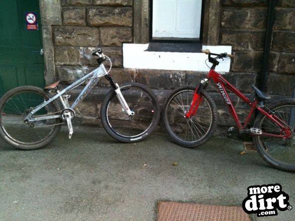 Delamere Forest Mountain Bike Trails