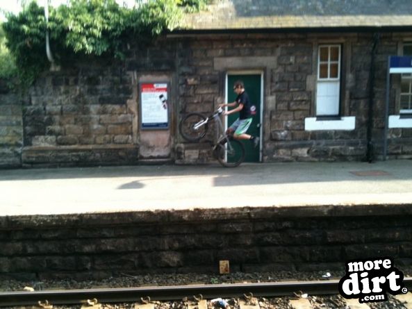 Delamere Forest Mountain Bike Trails