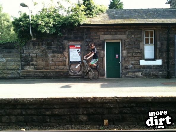 Delamere Forest Mountain Bike Trails