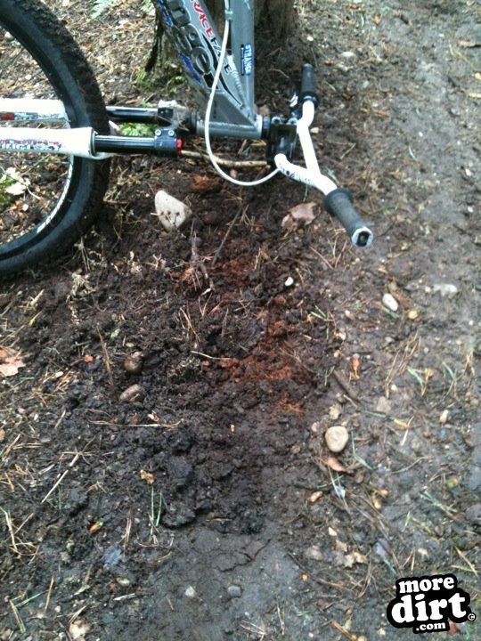 Delamere Forest Mountain Bike Trails