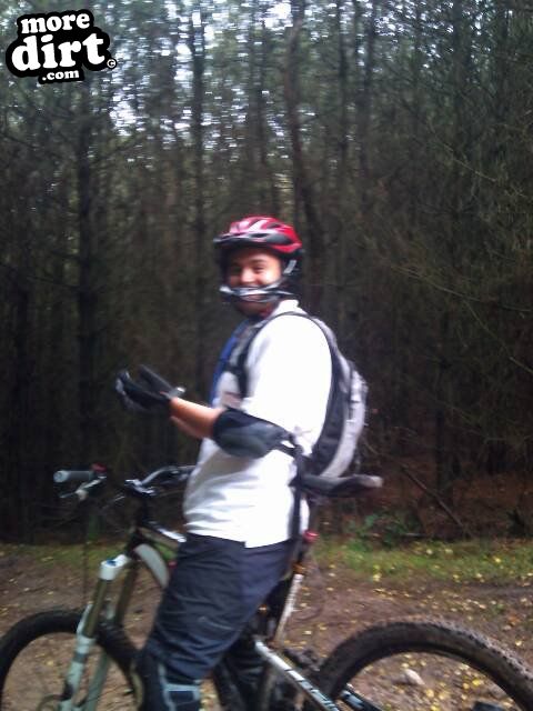 Monkey Trail - Cannock Chase