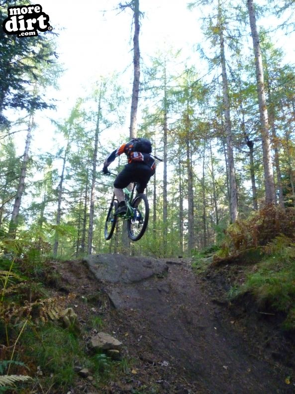 Hamsterley Forest Mountain Bike Trails