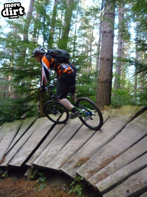 Hamsterley Forest Mountain Bike Trails