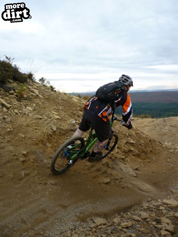 Hamsterley Forest Mountain Bike Trails
