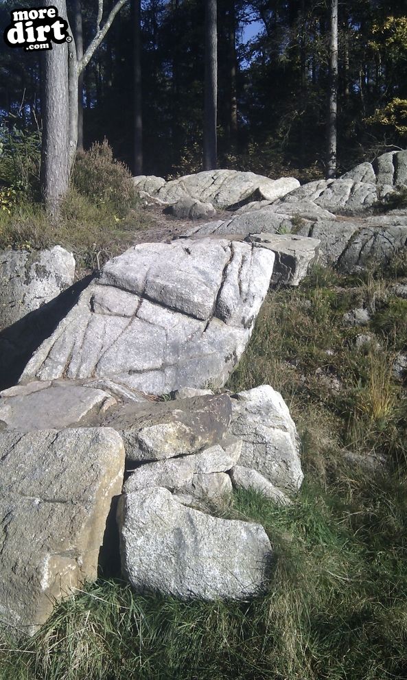 Hardrock Trail