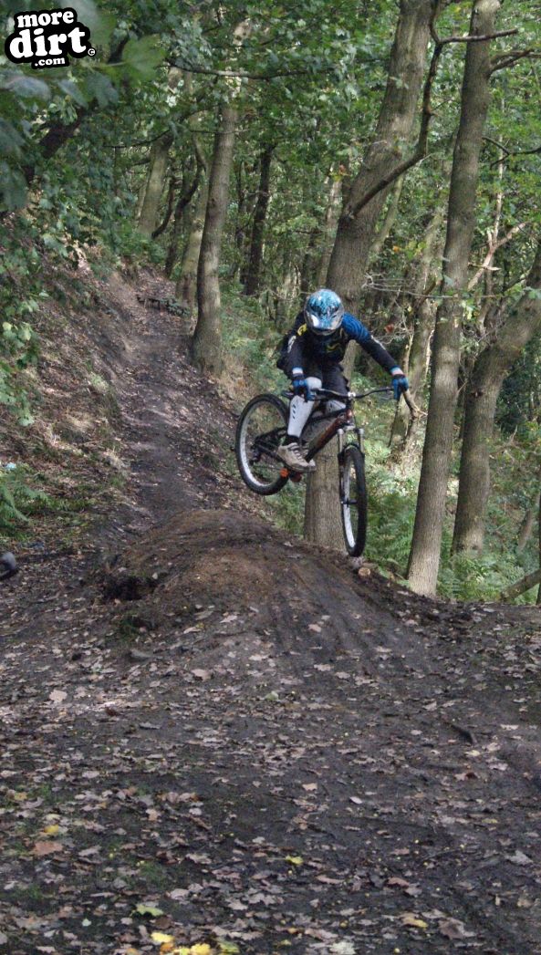 Elland Park Wood Trails