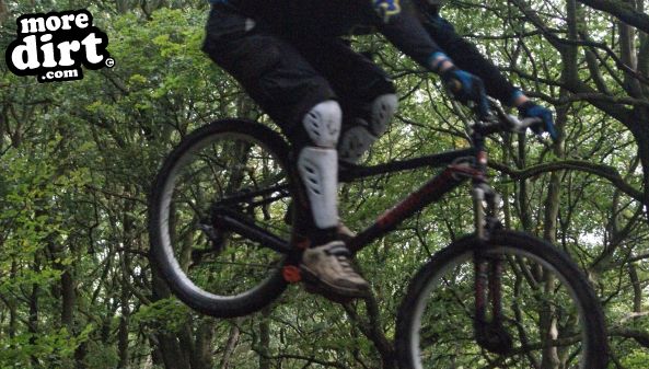 Elland Park Wood Trails