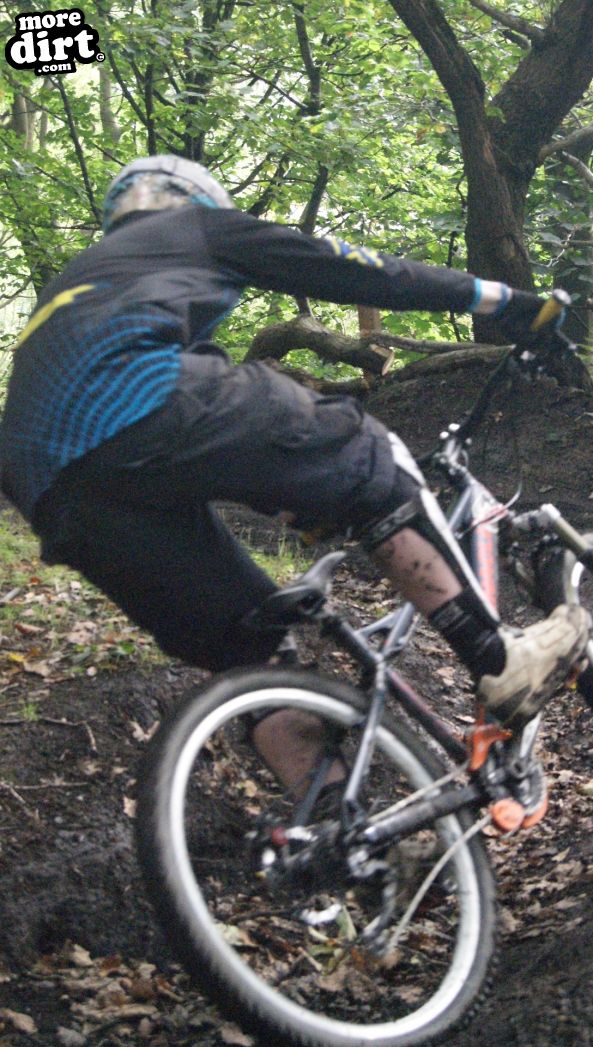 Elland Park Wood Trails