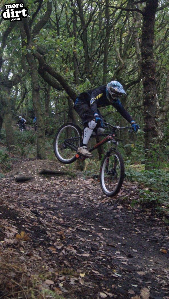 Elland Park Wood Trails