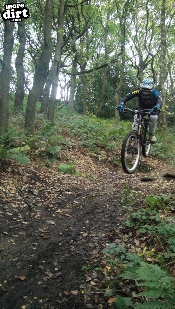 Elland Park Wood Trails