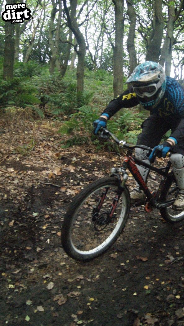 Elland Park Wood Trails