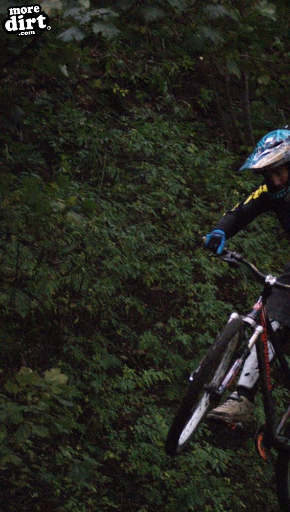 Elland Park Wood Trails