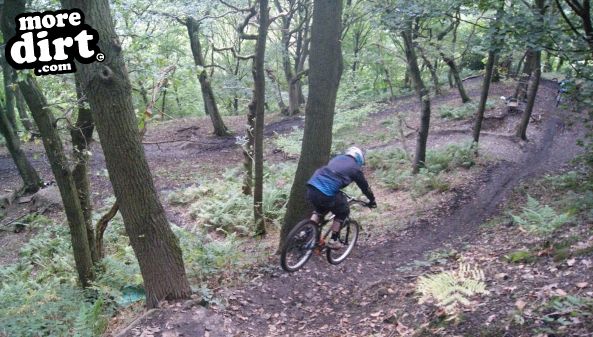Elland Park Wood Trails