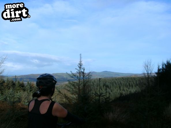 Red Trail - Coed Llandegla Forest