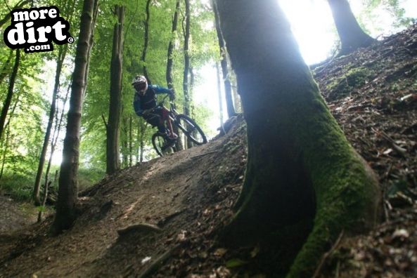 Wind Hill Mountain Bike Park