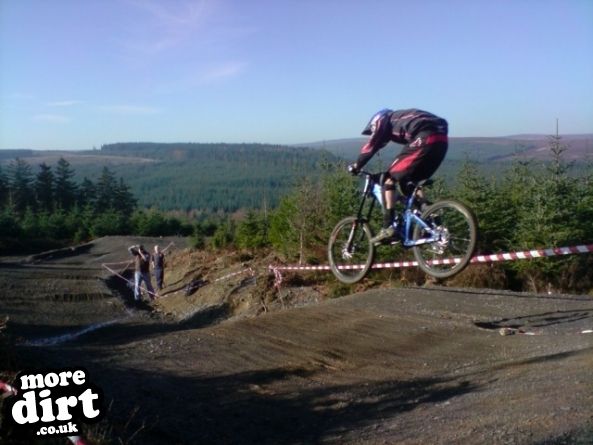 Hamsterley Forest Mountain Bike Trails