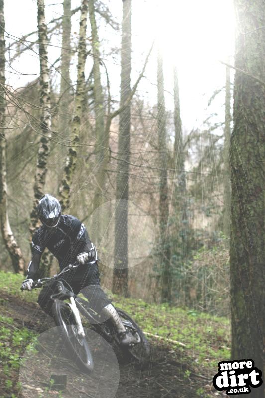 a pic i edited on Photo shop