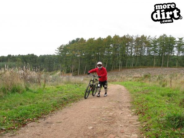 Delamere Forest Mountain Bike Trails