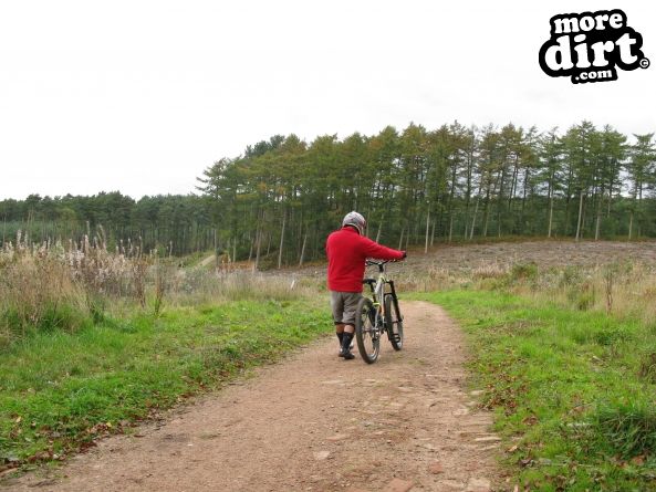 Delamere Forest Mountain Bike Trails
