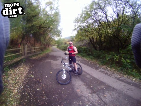 Monkey Trail - Cannock Chase