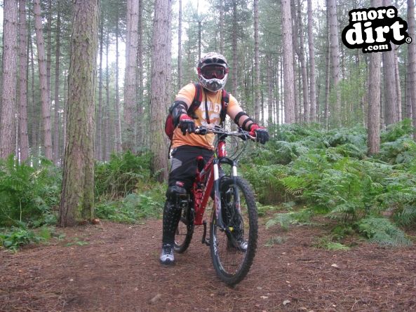 Delamere Forest Mountain Bike Trails