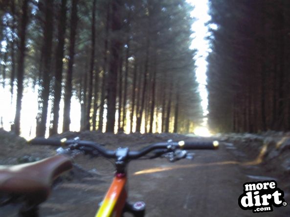 Penhydd Trail -  Afan Forest