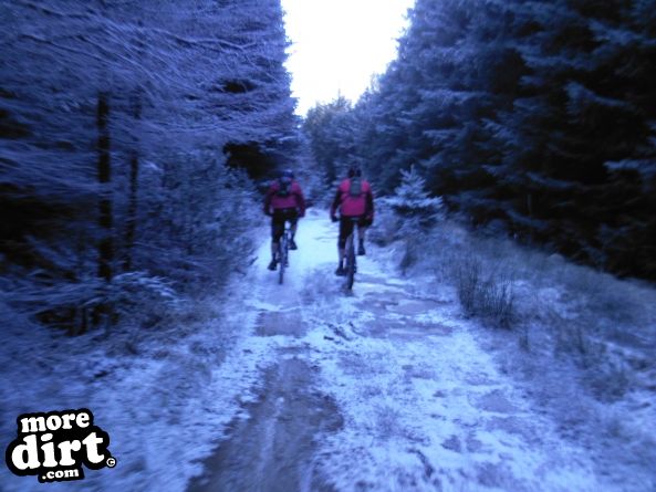 Penhydd Trail -  Afan Forest