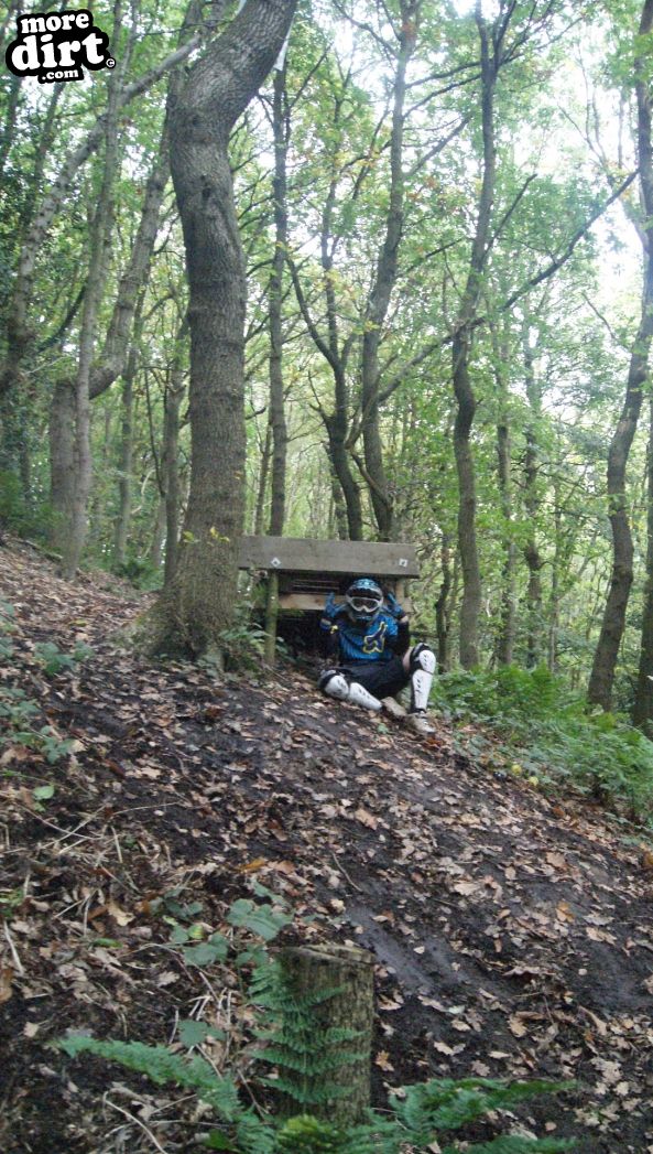 Elland Park Wood Trails