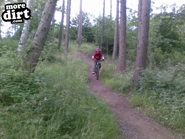 Powerline Trail - Chopwell