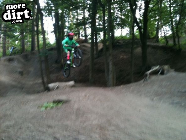 Powerline Trail - Chopwell