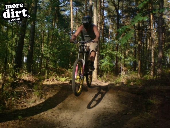 Barry Knows Best (BKB)