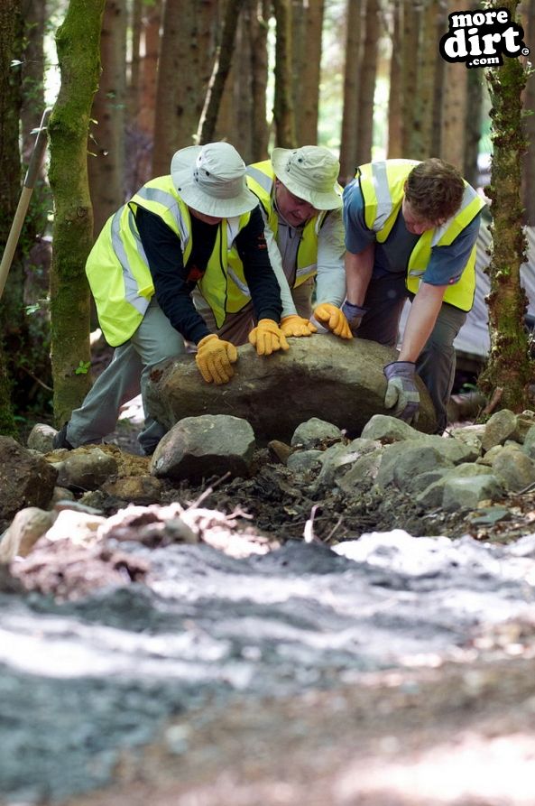 Lonesome Pine Trail - Kielder Forest