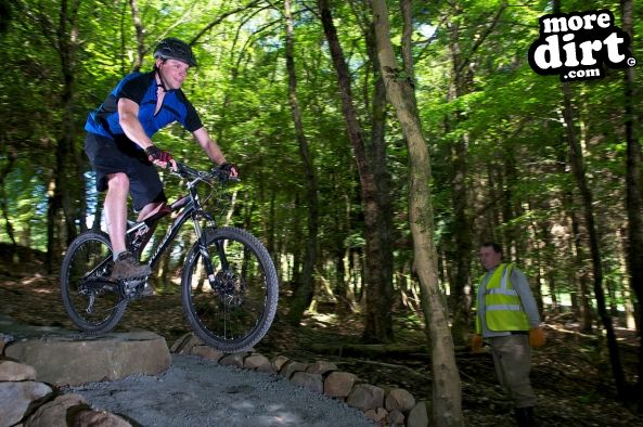 Lonesome Pine Trail - Kielder Forest
