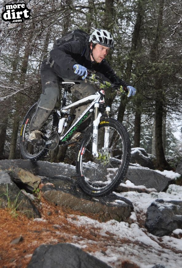 Freeride Park - Glentress