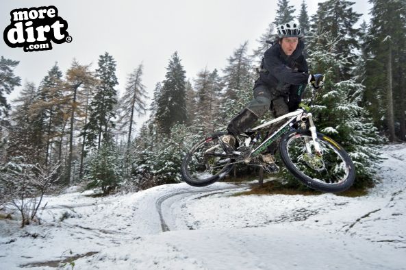 Freeride Park - Glentress