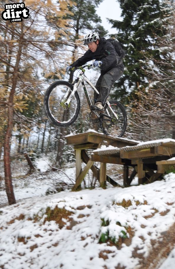 Freeride Park - Glentress
