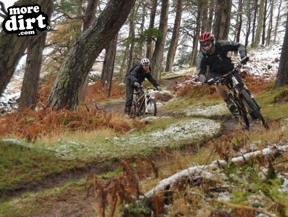 Freeride Park - Glentress