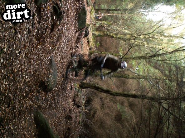 Warren Boulder Trail - Stainburn Forest