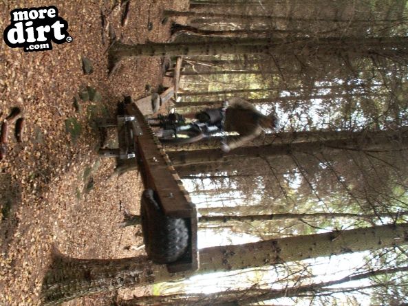 Warren Boulder Trail - Stainburn Forest