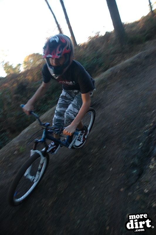 Delamere Forest Mountain Bike Trails