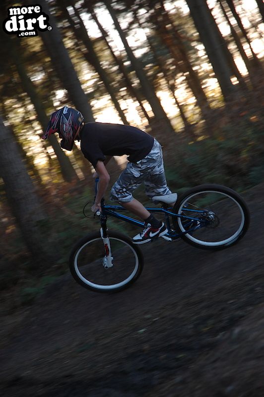 Delamere Forest Mountain Bike Trails