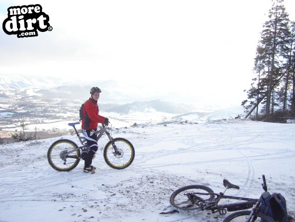 Altura Trail - Whinlatter Forest