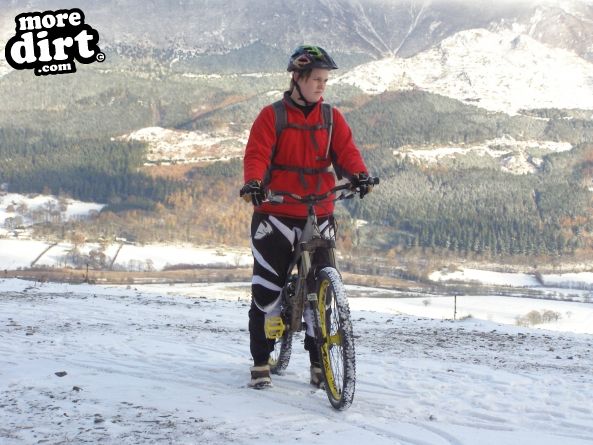 Altura Trail - Whinlatter Forest