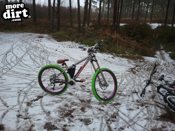 Lime Burner Trail - Thetford Forest