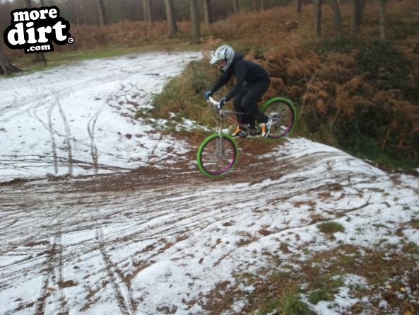 Lime Burner Trail - Thetford Forest