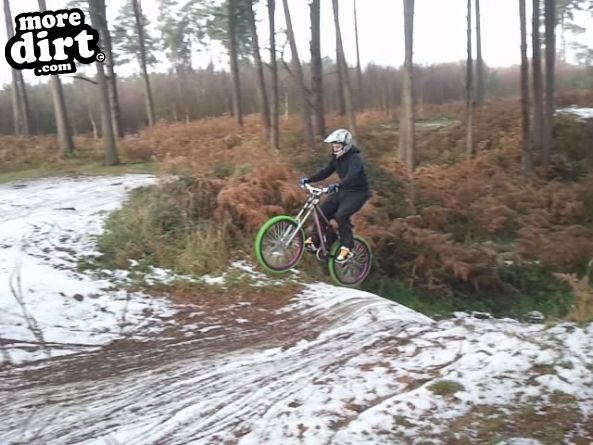 Lime Burner Trail - Thetford Forest